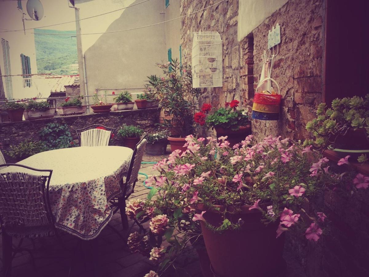 Dimora Toscana Apartment Seggiano Exterior foto