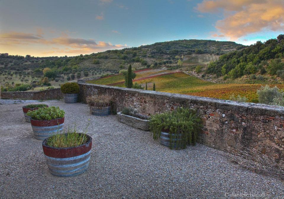 Dimora Toscana Apartment Seggiano Exterior foto
